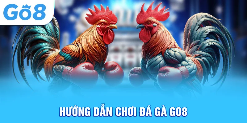 Hướng dẫn chơi đá gà Go8