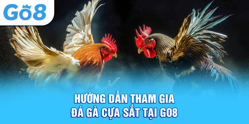 Hướng dẫn tham gia đá gà cựa sắt tại Go8