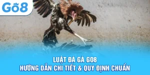 luật đá gà go8 hướng dẫn chi tiết quy định chuẩn