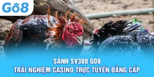 sảnh sv388 go8 trải nghiệm casino trực tuyến đẳng cấp