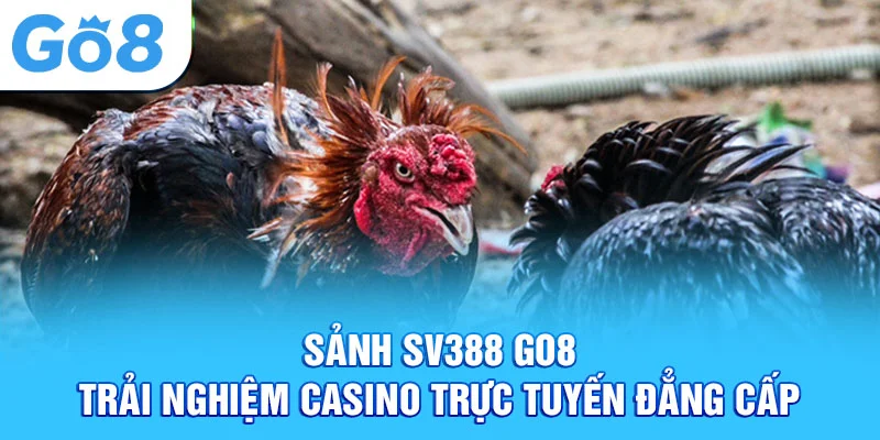sảnh sv388 go8 trải nghiệm casino trực tuyến đẳng cấp