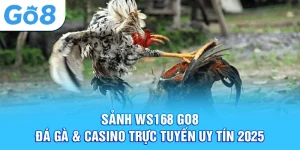 sảnh ws168 go8 đá gà casino trực tuyến uy tín 2025